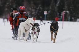 Lenzerheide 2013